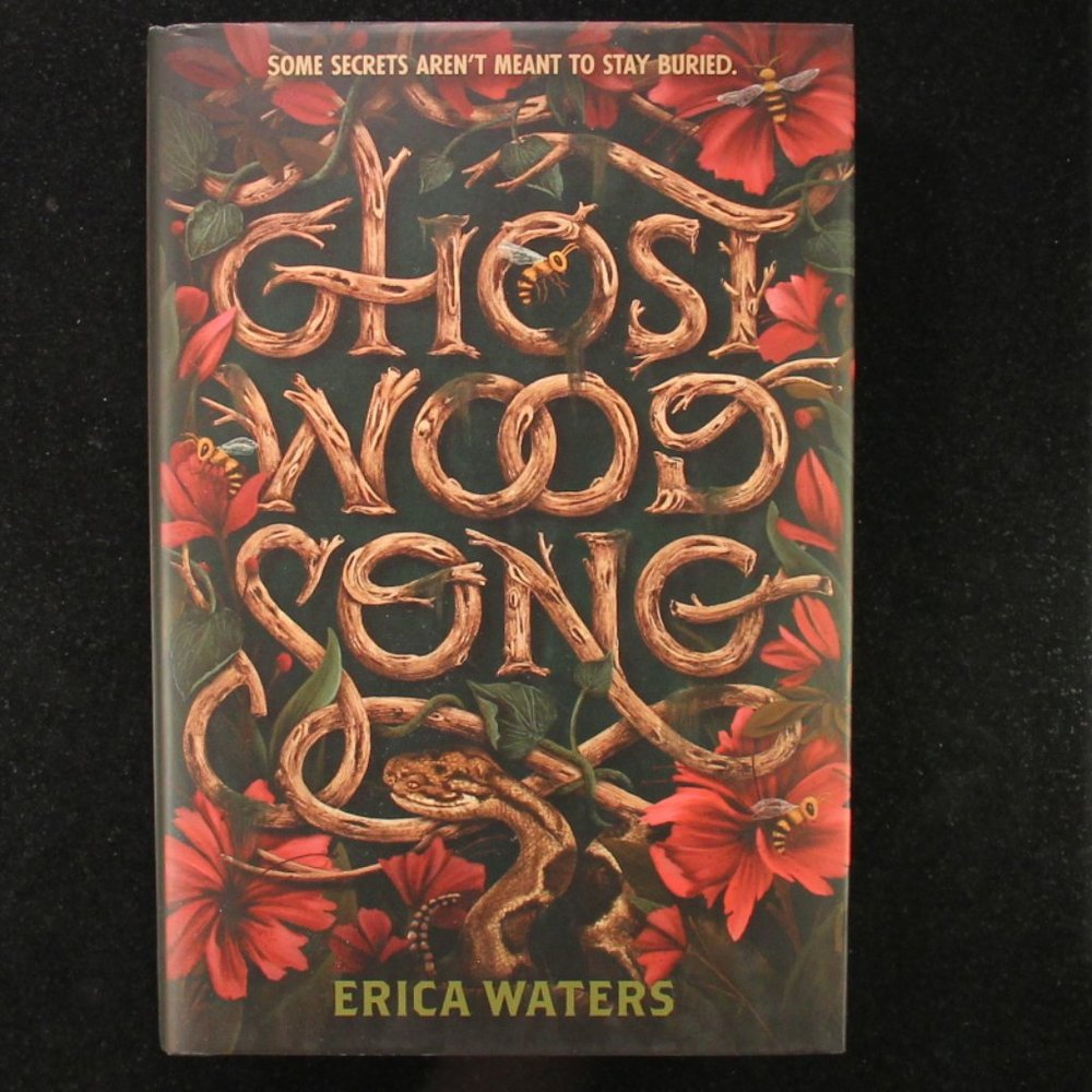 Ghost Wood Song by Erica Waters - Hardcover